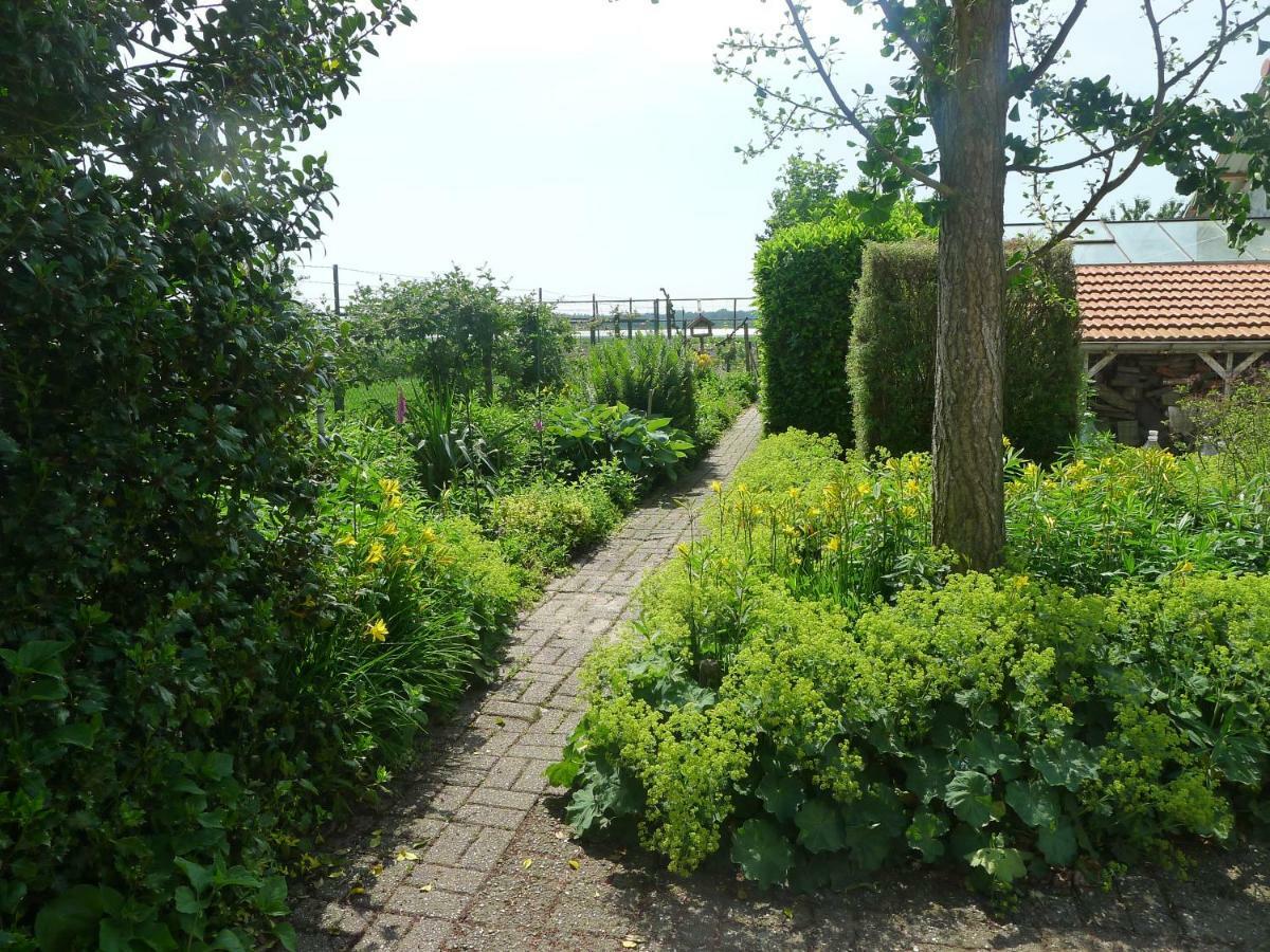 Roggel B&B De Kleine Wijngaard מראה חיצוני תמונה